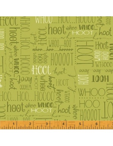 Whoo's Hoo by Terri Degenkolb - Windham Fabrics