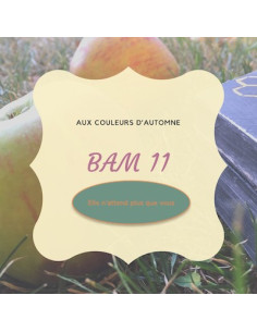 BOX Surprise n°11 2