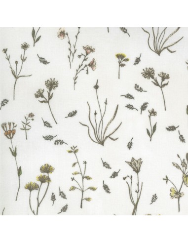 Botanicals de Janet Clare - Divers coloris