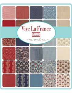 Vive la France - French General 2