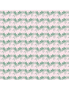 copy of Edward Terrace de Judy Newman