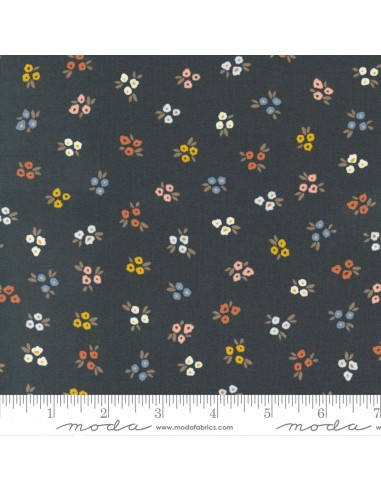 Dawn on the Prairie de Fancy That Design -...
