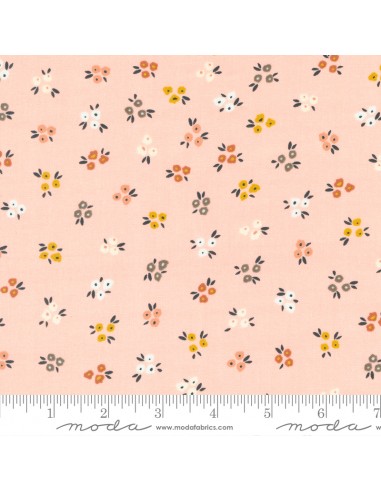 Dawn on the Prairie de Fancy That Design -...