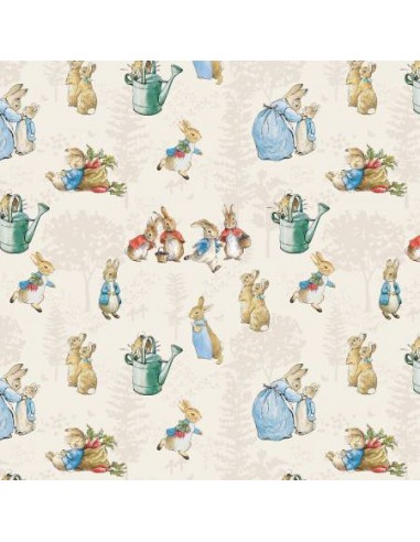 The Tale of Peter Rabbit Peter and Friends