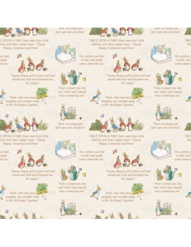 The Tale of Peter Rabbit Peter and Friends