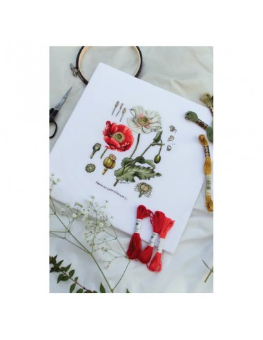 copy of Broderie blanche pas à pas