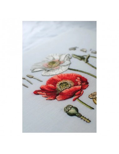 copy of Broderie blanche pas à pas