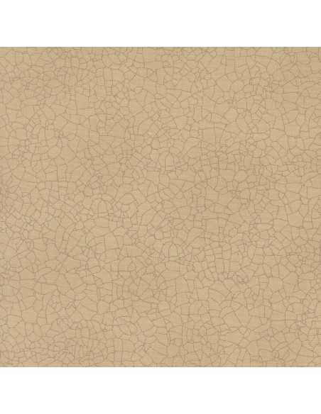 copy of Moda - Maryland - Kathy Schmitz