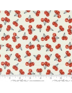 copy of Here Kitty kitty - Stacy Iest Hsu