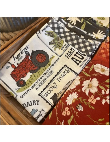 copy of Here Kitty kitty - Stacy Iest Hsu