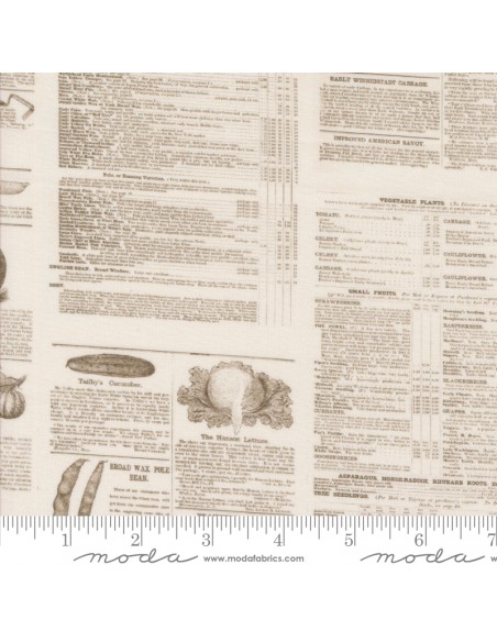 copy of copy of