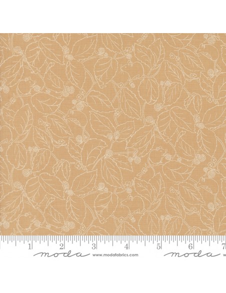 Rainier de Jessica Rose - Divers coloris