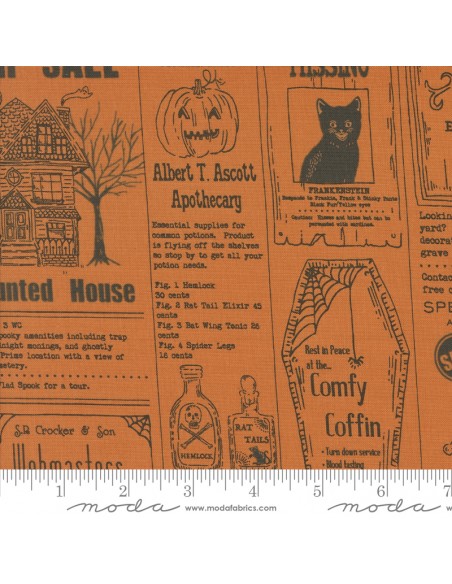 copy of Here Kitty kitty - Stacy Iest Hsu