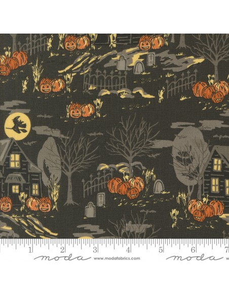 Home sweet Haunt - Stacy Iest Hsu
