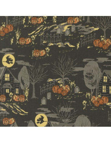 Home sweet Haunt - Stacy Iest Hsu