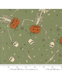 copy of Here Kitty kitty - Stacy Iest Hsu