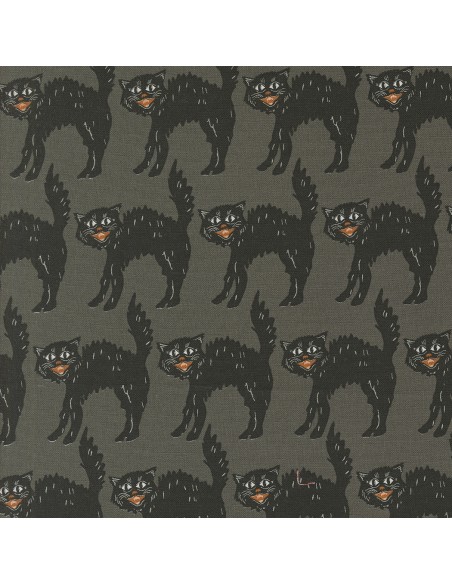 copy of Here Kitty kitty - Stacy Iest Hsu