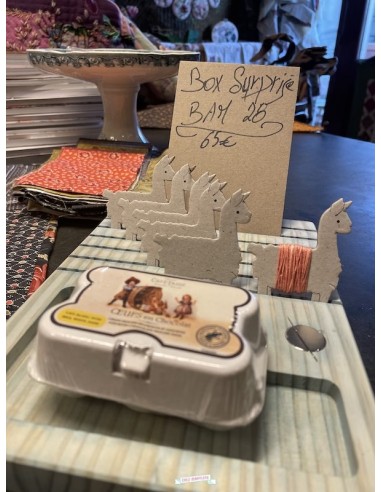 copy of BOX Surprise n°18
