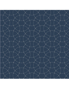 Swatch Book by Iowa Quilt Museum - Divers coloris -...