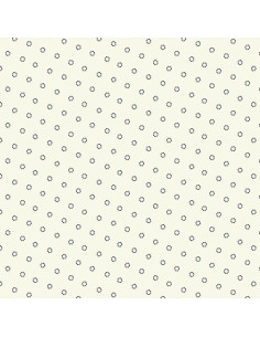 Swatch Book by Iowa Quilt Museum - Divers colcoris -... 2