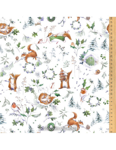 copy of Oiseaux d'hiver - Acufactum